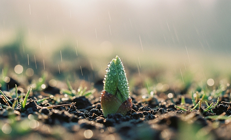 プロダクト・自社サービス